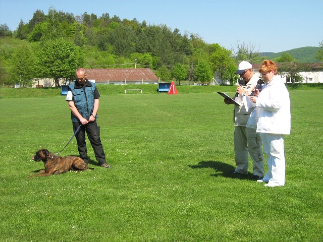 www.atibox.net * www.euroboxer.eu * www.boxergenealogia.eu